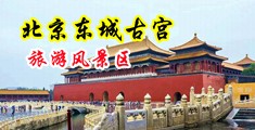 虎骚视频无遮挡无删减版中国北京-东城古宫旅游风景区